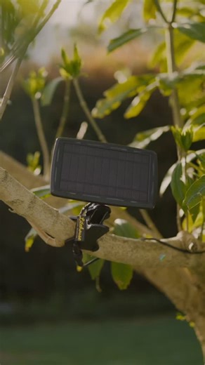 What more could you want in a Solar Festoon Bulb String Light? We’ve spent the last four years refining and perfecting our Bulb String Lights, down to the smallest detail. From gift-like packaging to durable construction and premium-grade materials, every element is designed to perform reliably and last for years outdoors. These lights are ones you can buy with peace of mind or gift with confidence. Mastered for longevity, ease, and reliability. What’s in the box: ✨Solar Festoon Bulb String Ligh