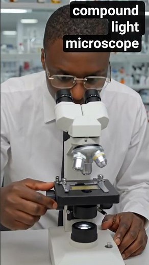 How to use a compound microscope