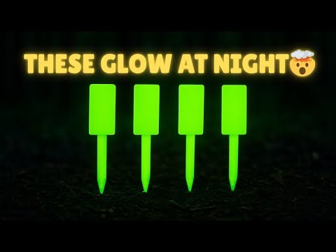 The 5 Most Useful Camping Prints You Can Make