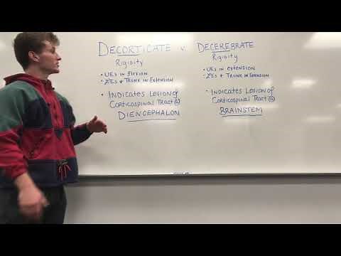Decorticate v. Decerebrate Posturing
