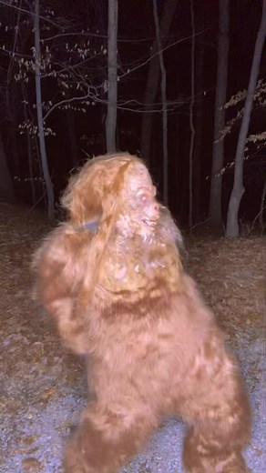 Sasquatch Dance Moves: Push It Real Good