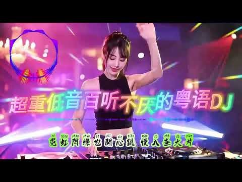 好感觉音乐直播
