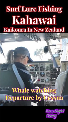 #kaikoura #Kaikoura lure fishing #kauai fishing #kahawai #shorts #New Zealand #whalewatching