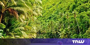 Google Street View Showcases the Amazon