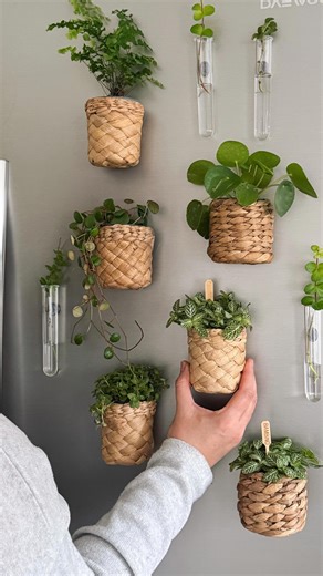 Anna King | Ever looked at your fridge & thought…wow, that’s boring? Today I decided to turn mine into a tiny living garden. A few mini plants, some... | Instagram