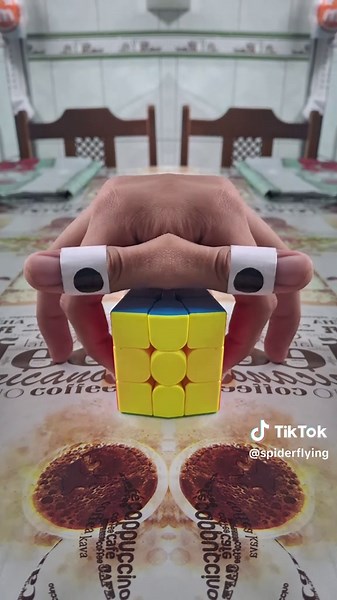 Flying Spider Adventures: Exciting Spider Videos