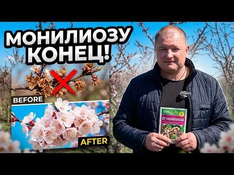 Protecting APRICOT from MONILIOSIS: Don't MISS this MOMENT!