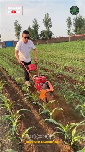 Introducing the amazing mini power tiller machine, a game-changer for gardening and small-scale farming! This compact yet powerful tool is designed to make soil preparation effortless, allowing you to cultivate your garden with ease. Equipped with advanced features, it efficiently breaks up hard soil, ensuring proper aeration for healthy plant growth. Its lightweight design and maneuverability mean you can navigate tight spaces seamlessly. Whether you're planting vegetables or flowers, this till