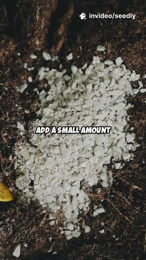 Why Weed Tea Actually Feeds Plants #livingsoil #liquidfertilizer #naturalfertilizer