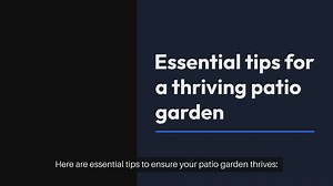 Essential Tips for Patio Gardening Success