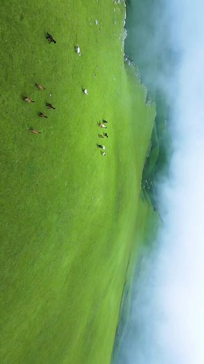 Exploring the Heavenly Beauty of Badimalika in Farwest Nepal