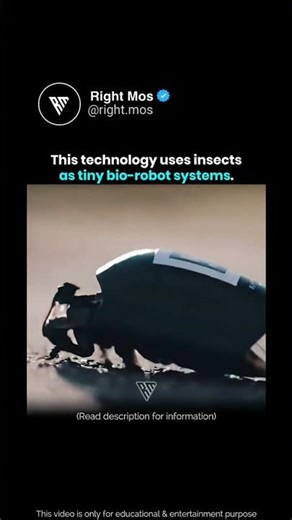 Insect Spy Robots 😳🐞