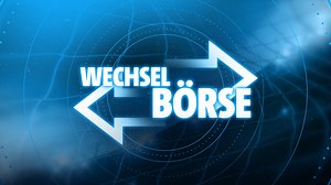 Bundesliga-Wechselbörse - die Übersicht der Sommertransfers