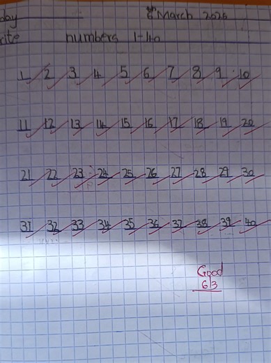 PP2 Math Activity Fun