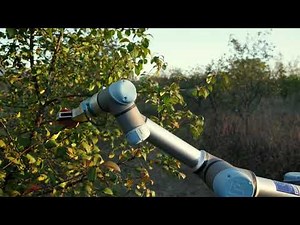 Amazing Apple Harvesting Machine in Action | Modern Agriculture Technology