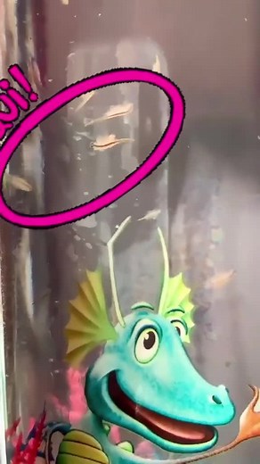 19 Días de Evolución con los Aqua Dragons 🐉