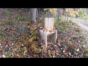 DIY Trap building - Trap to catch animals alive