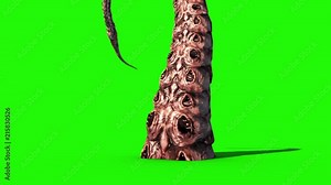 Tentacle Monster Octopus Green Screen 3D Rendering Animation