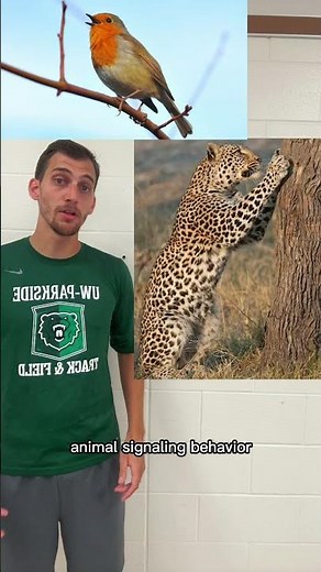 Responses to the Environment (AP Bio 8.1) in 55s #apbio #apbiology #collegebiology #ecology
