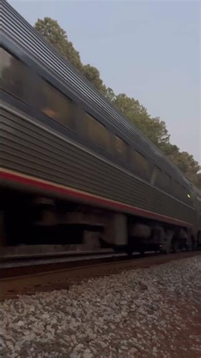 Amtrak Carolinian Train PO79 at Old Time Barbecue 1/6/25 #railtrack #railroad