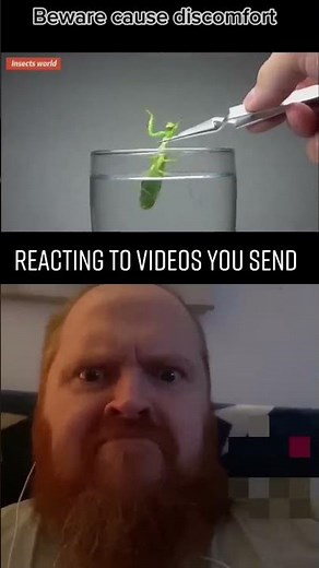 Praying Mantis Parasite!