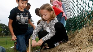 Getting hands dirty is part of learning at Moore Magnet