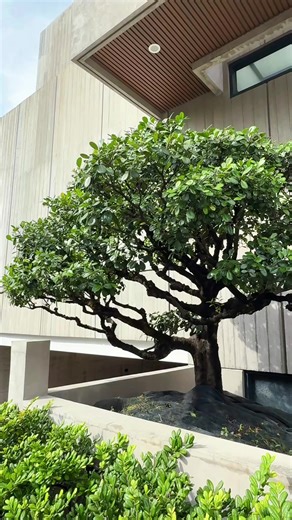 Luxury Home for Sale in Alabang, Muntinlupa