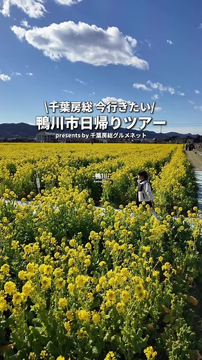 今行くべき！千葉県鴨川市の日帰りツアーガイド