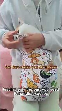 Cat Care Tips Every Owner Should Know | Simple Hacks for Your Cat #CatCare #CatTips #CatLovers