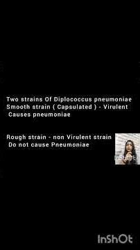 Griffith’s Transformation Experiment | Transforming Principle | DNA as Genetic Material