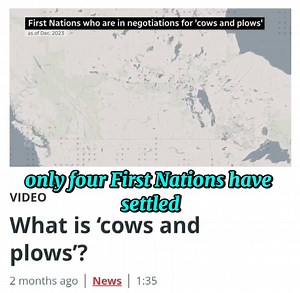 There is so much confusion regarding cows & plows. Heck, even I'm confused. (Note: video is from two months ago). | Decolonize Myself - A First Nations Perspective | Facebook