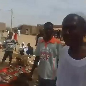 السمك في جبل أولياء بتباع بالملوه و الملوه بي الف الف الف الف اي والله | لو مهتم كان عرفت