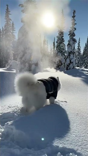 How I Survive -70°C ❄️