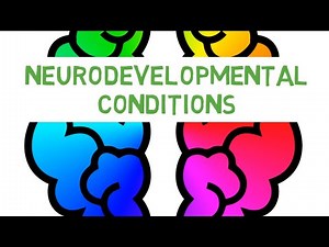 What is a Neurodevelopmental Condition?