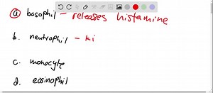SOLVED:The white blood cell that releases histamine and other inflammatory chemicals is the (a) basophil, (b) neutrophil, (c) monocyte, (d) eosinophil.