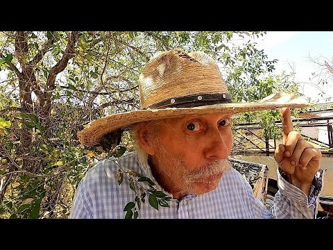 AA/Fuel Dragster "Moonburst" Found - Parked in Trailer 43 Years