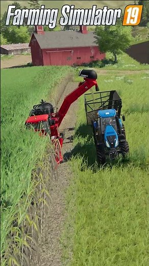 😬Fs17 vs Fs19 vs Fs22 vs Fs25 | Sugarcane Harvesting
