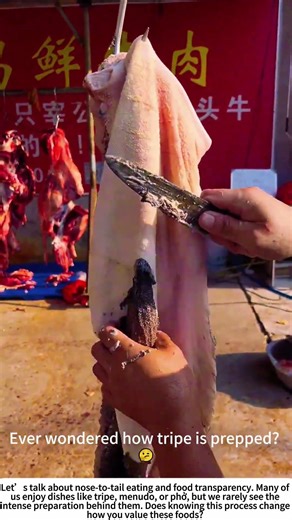 From Mess to Meal: The Art of Cleaning Tripe 🔪🐄