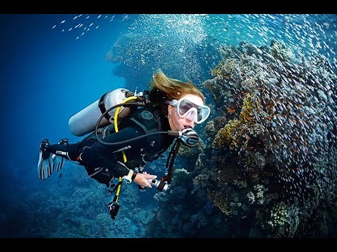 Search & Recovery Training Video -UnderWaterMonk Dive School