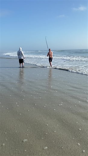 Catching bonnet head sharks from the shore. Best fish tacos I’ve ever had.