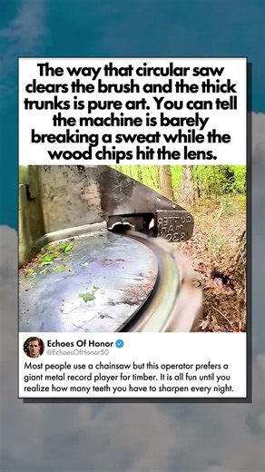 GIANT DISC SAW DELETES TREE