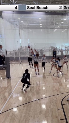 Top Volleyball Highlights Featuring Libero Defensive Skills