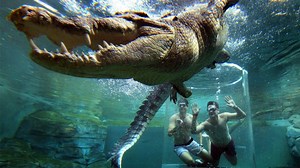 1.2M views · 10K reactions | 07 Strange Pools in the World Urdu/Hindi Here are most Incredible Pools For Your Next Vacation 7 Most Dangerous and Strange Swimming Pools in the World | Meri Kahaani | Facebook