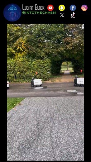 4.6K views · 19 reactions | Delivery robots migrate through Moscow's Gorky Park. They’re takin er JERBS! | む Into The Chasm む | Facebook