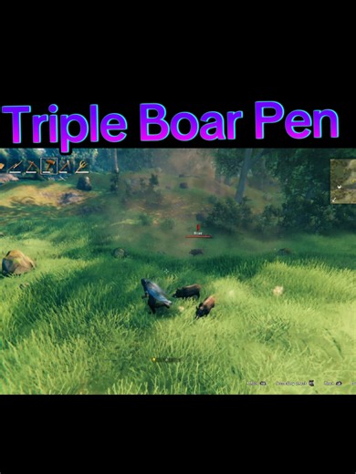 Valheim boar taming guide: 3 boars pen and timing