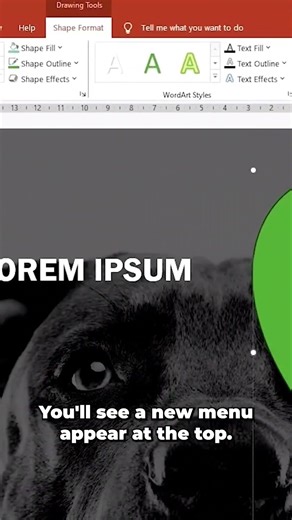 How to Make a Shape Transparent in PowerPoint