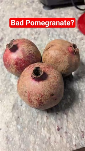 This Neglected Pomegranate Tree Has a Juicy Secret!