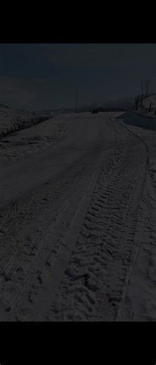 Halalya sağray çü🦅❤️🖤@Agaserif Babasov 😂😂😂🦅🖤