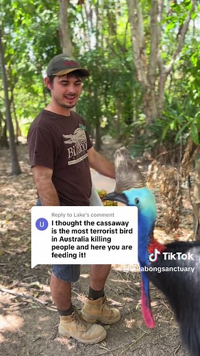 Meet Hope the Cassowary at Billabong Sanctuary | Deadly Bird Keeper