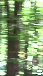 King Firebird soaring into Hole 15 with a 320 ft. Ace! ❤️‍🔥 #discgolf #innovadiscs 🎥 Disc Golf Pro Tour #sports #reels #golf #ace | Innova Discs